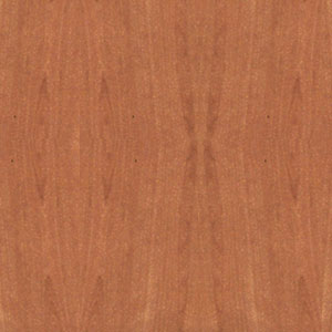 ��������� ����